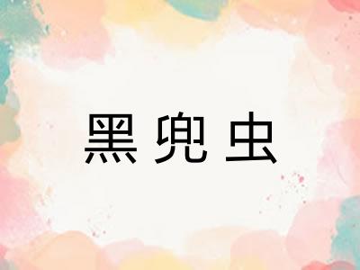 黑兜虫