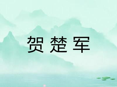 贺楚军 贺楚军