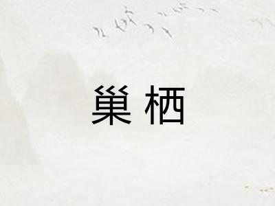 巢栖