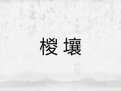 椶壤