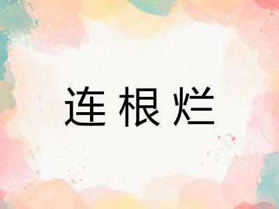 连根烂 连根烂