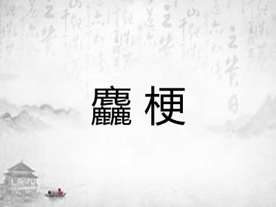 麤梗