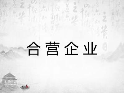 合营企业