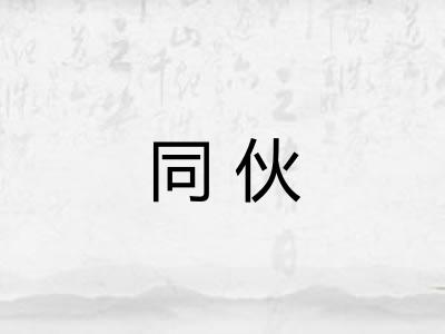 同伙