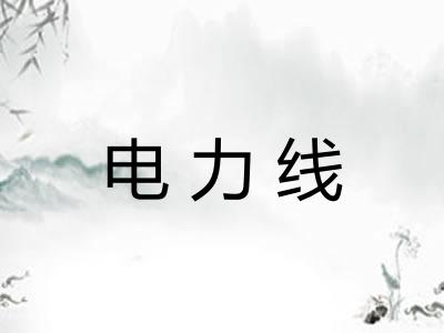 电力线
