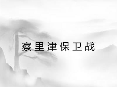 察里津保卫战 察里津保卫战