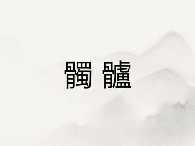 髑髗