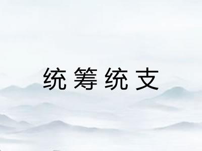 统筹统支 统筹统支