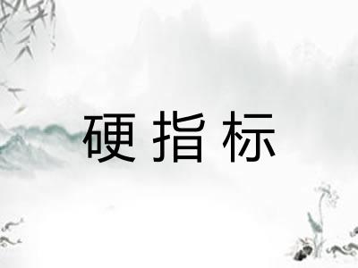 硬指标 硬指标