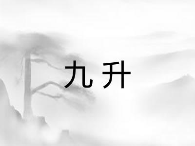 九升