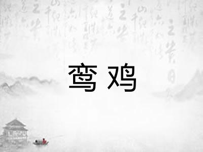 鸾鸡
