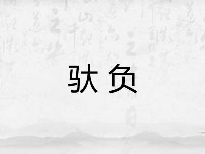 驮负