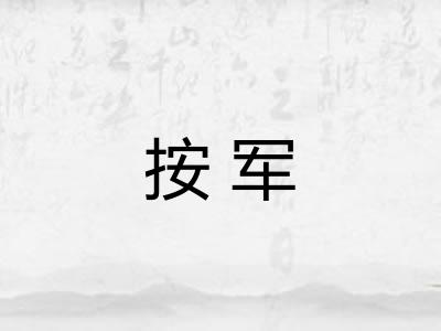 按军