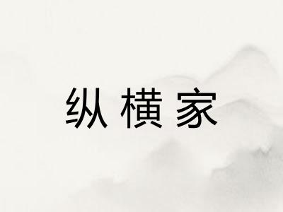 纵横家 纵横家