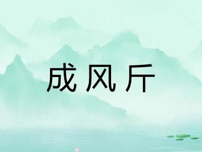 成风斤 成风斤