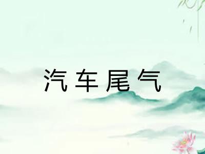 汽车尾气 汽车尾气