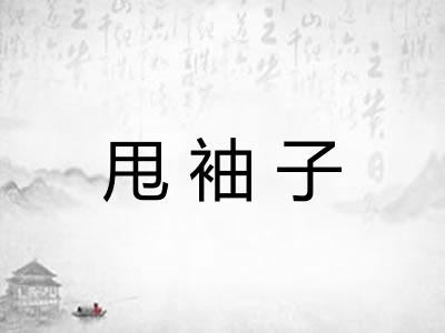 甩袖子 甩袖子