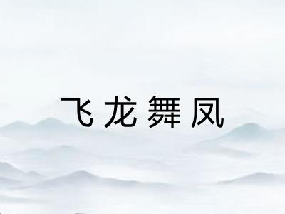 飞龙舞凤