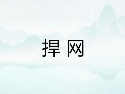 捍网