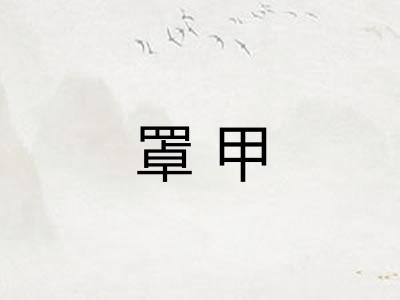 罩甲