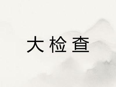 大检查 大检查
