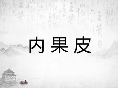 内果皮