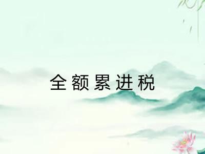 全额累进税