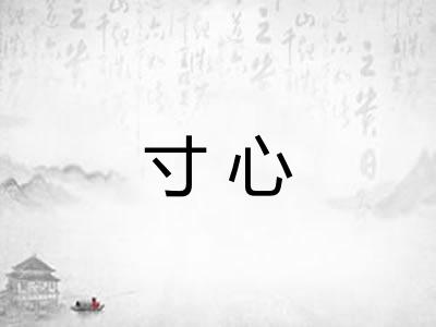 寸心