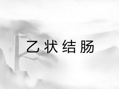 乙状结肠 乙状结肠
