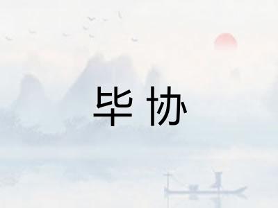 毕协