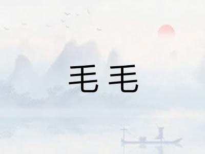 毛毛