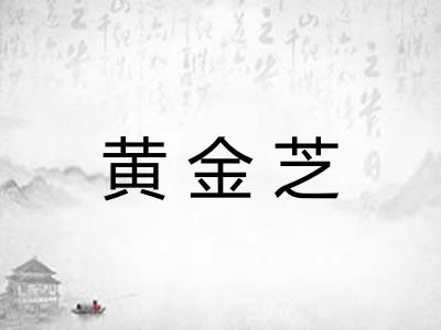 黄金芝