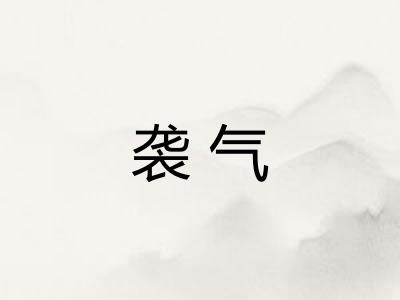 袭气