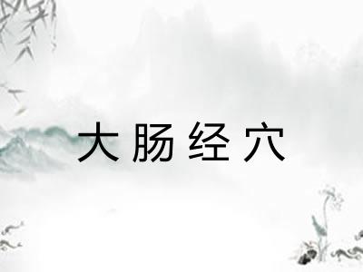 大肠经穴