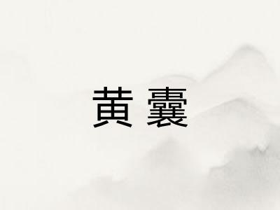 黄囊