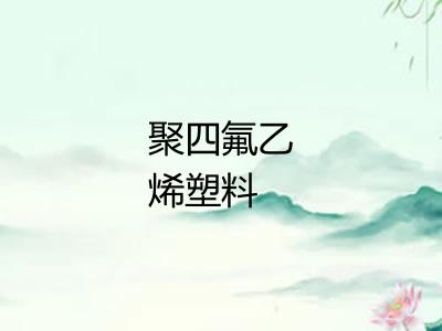 聚四氟乙烯塑料