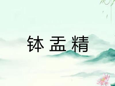 钵盂精