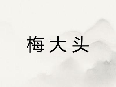 梅大头 梅大头