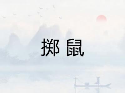 掷鼠