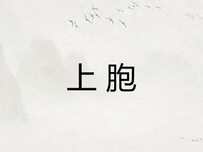 上胞