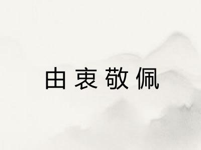 由衷敬佩