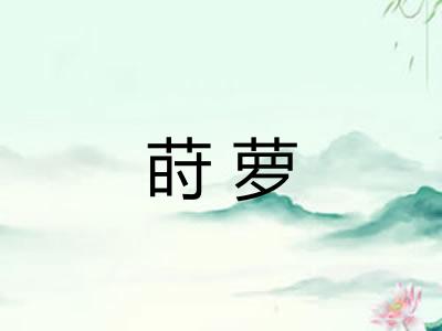 莳萝 莳萝