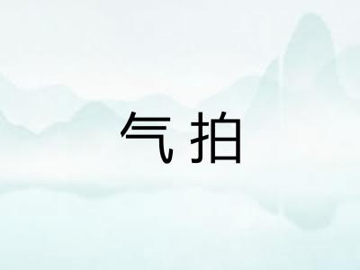 气拍 气拍