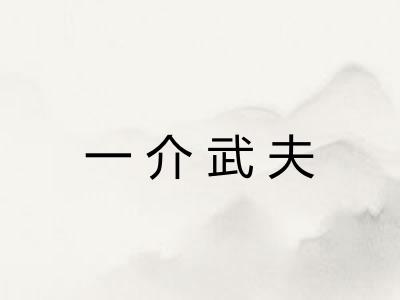 一介武夫