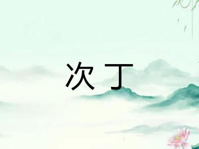 次丁