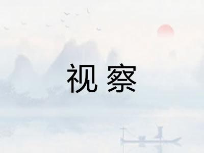 视察