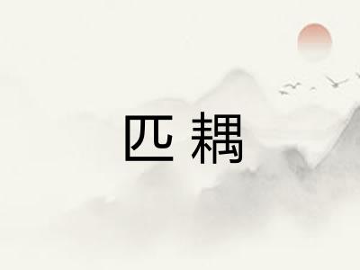 匹耦