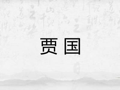 贾国