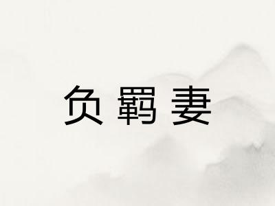 负羁妻