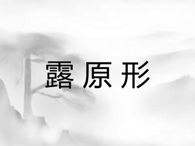 露原形 露原形